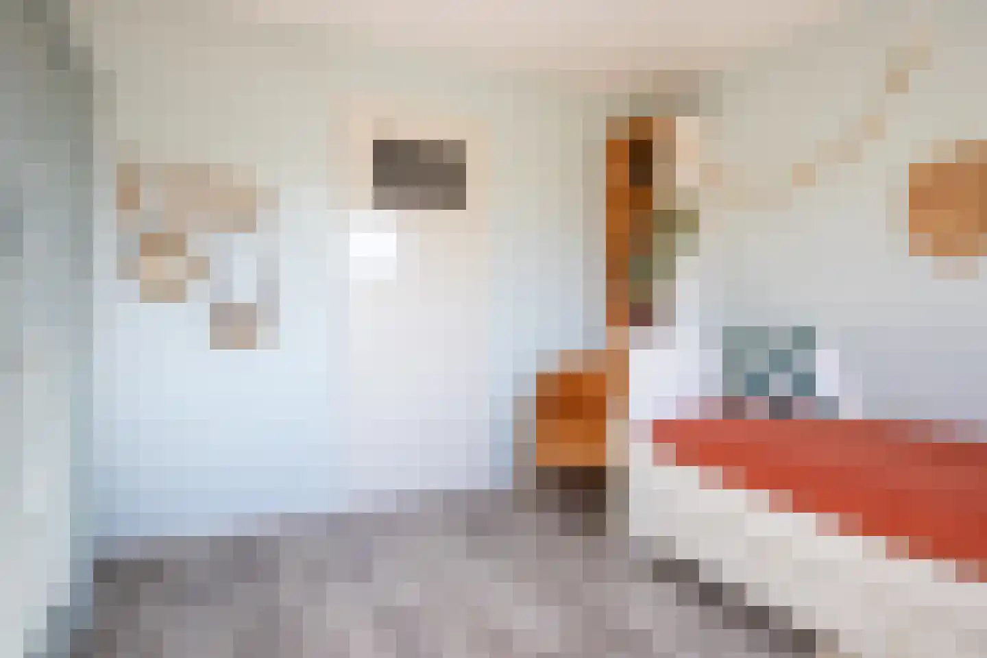 Heinsiuslaan 8 Woerden thumbnail 22