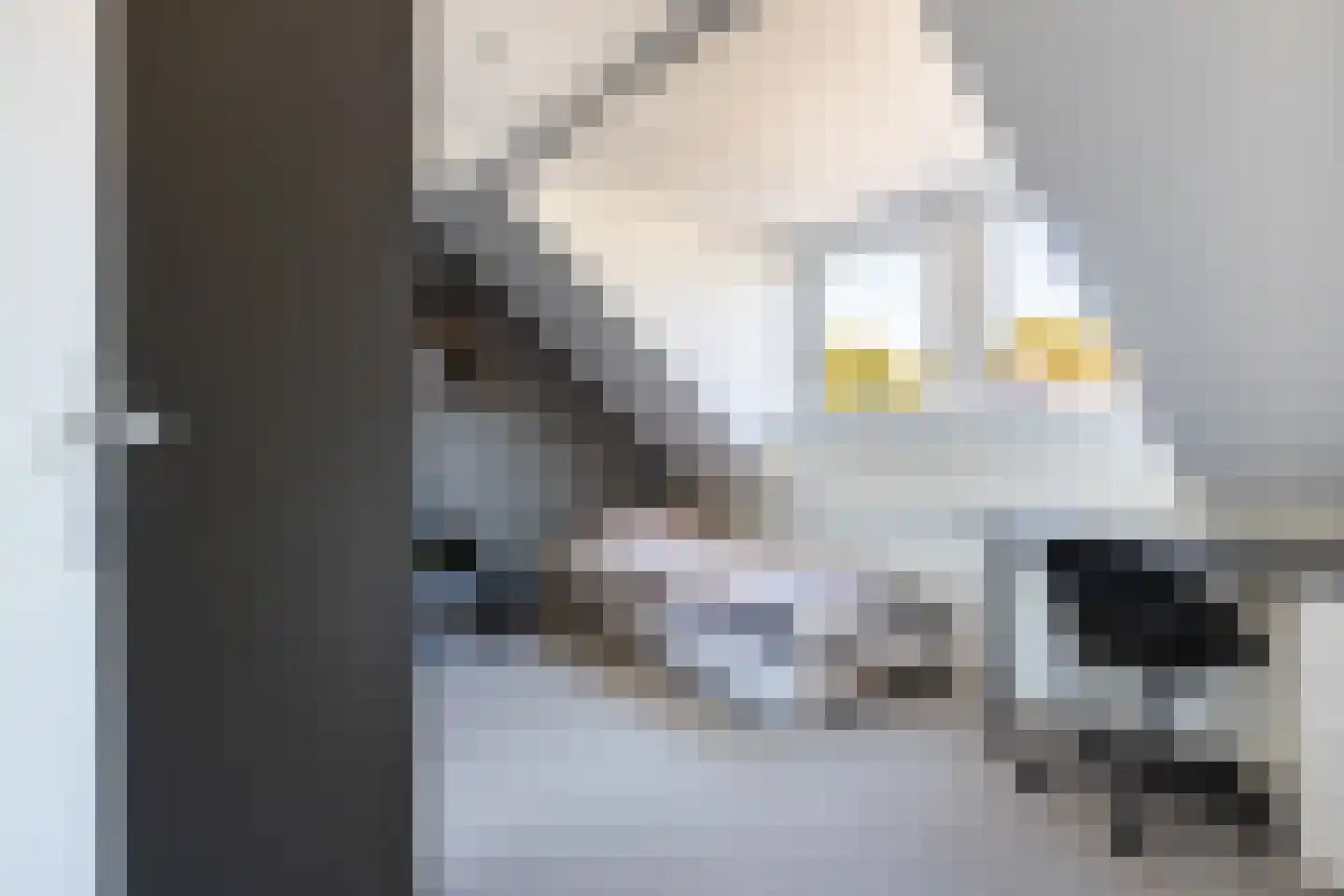 Heinsiuslaan 8 Woerden thumbnail 27