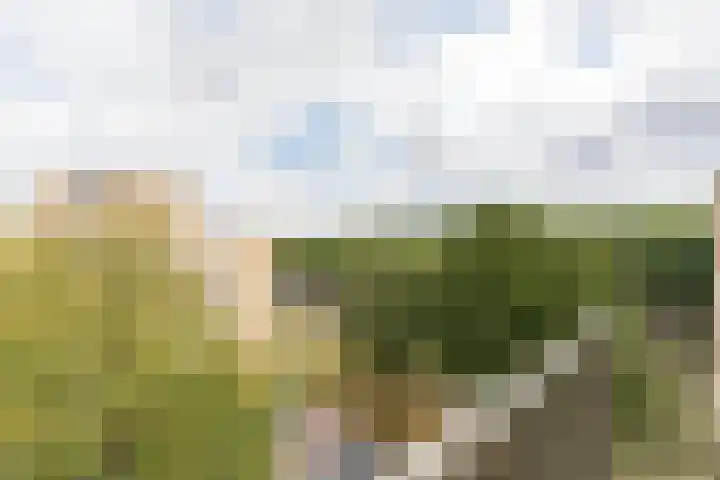 Heinsiusstraat 115 Oosterhout thumbnail 22