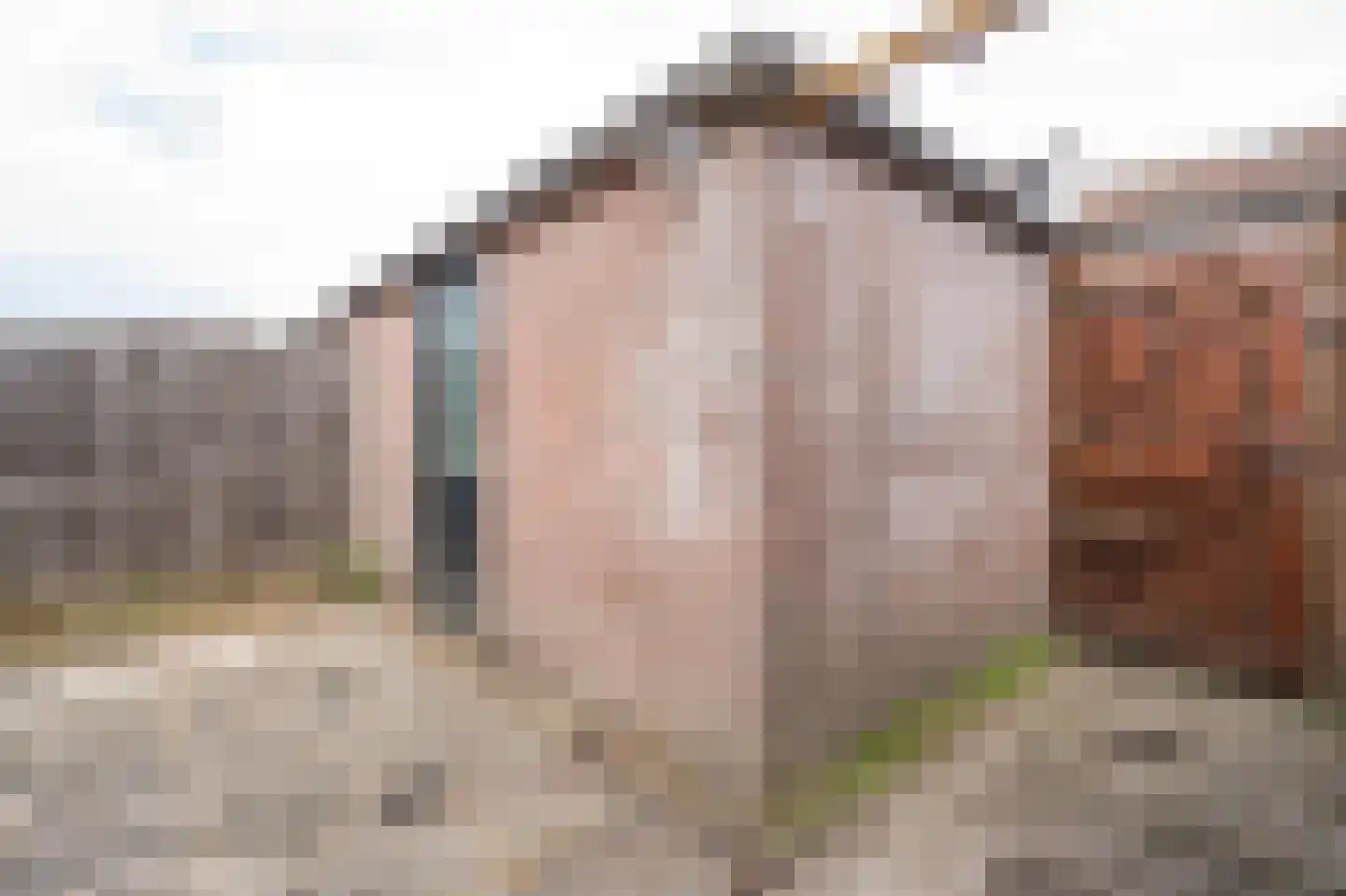 Heinsiusstraat 13 Papendrecht thumbnail 31