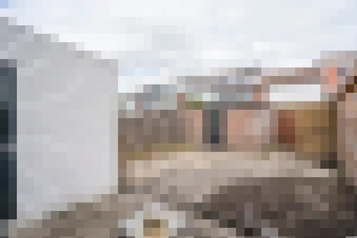 Heinsiusstraat 13 Papendrecht thumbnail 4