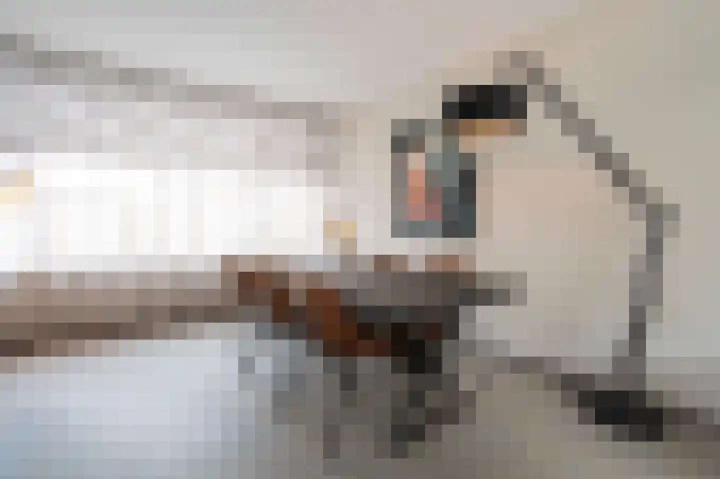 Heinsiusstraat 13 Papendrecht thumbnail 9