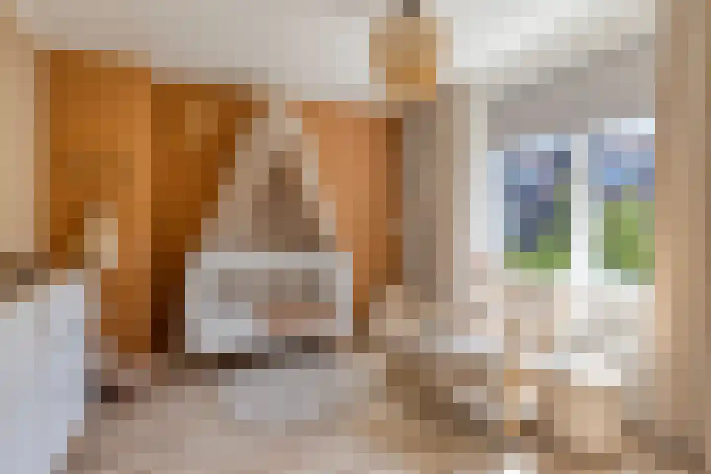 Heinsiusstraat 17 Dordrecht thumbnail 30