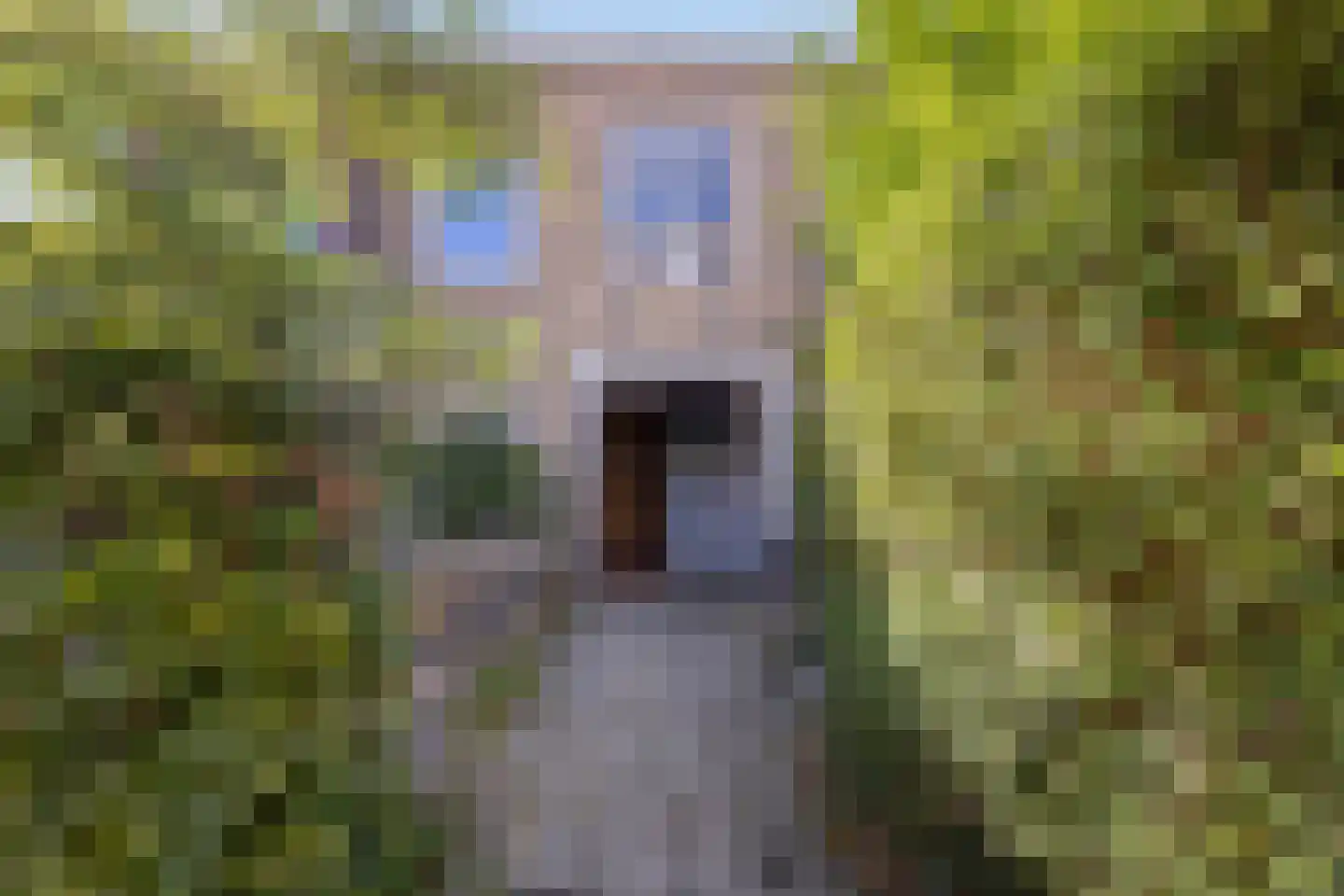 Heinsiusstraat 18 Groningen thumbnail 4
