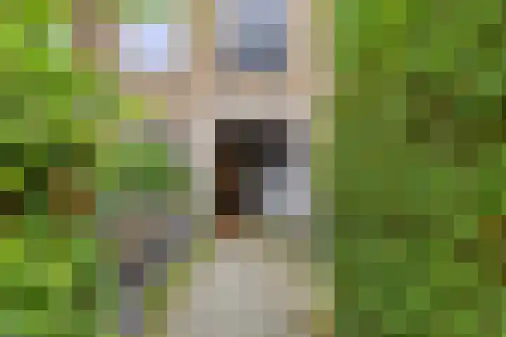 Heinsiusstraat 20 Groningen thumbnail 17