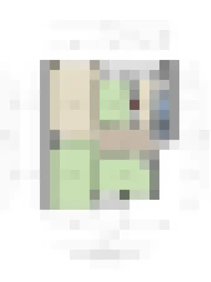 Heinsiusstraat 20 Groningen thumbnail 22