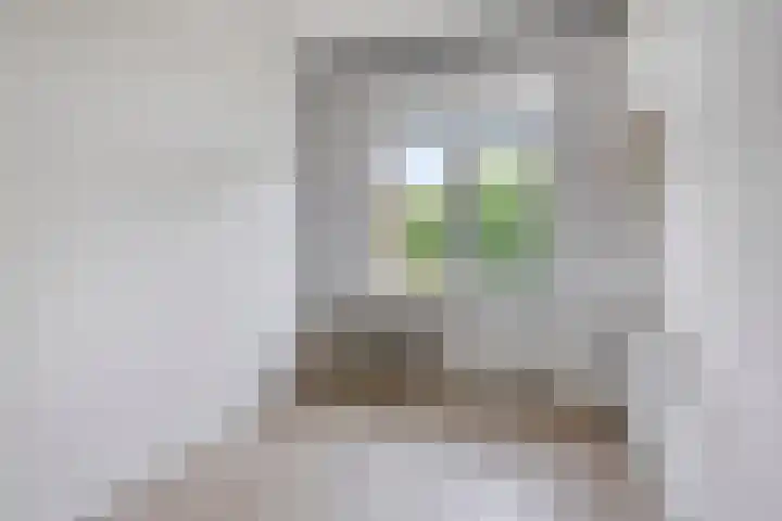 Heinsiusstraat 20 Groningen thumbnail 4