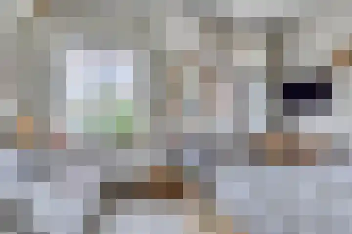 Heinsiusstraat 20 Groningen thumbnail 6
