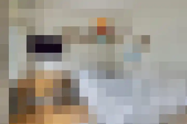 Heinsiusstraat 20 Groningen thumbnail 7