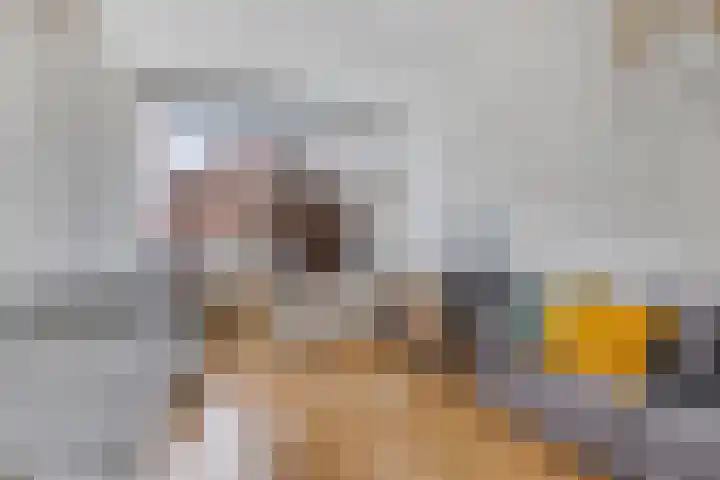 Heinsiusstraat 20 Groningen thumbnail 8