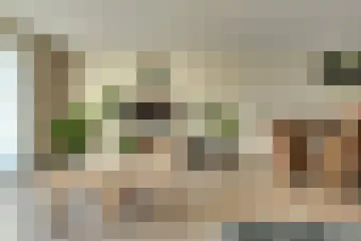 Heinsiusstraat 25 Oosterhout thumbnail 10