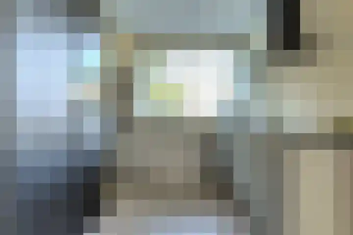 Heinsiusstraat 25 Oosterhout thumbnail 13