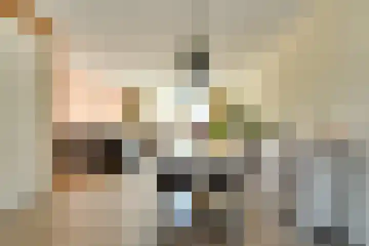 Heinsiusstraat 25 Oosterhout thumbnail 17