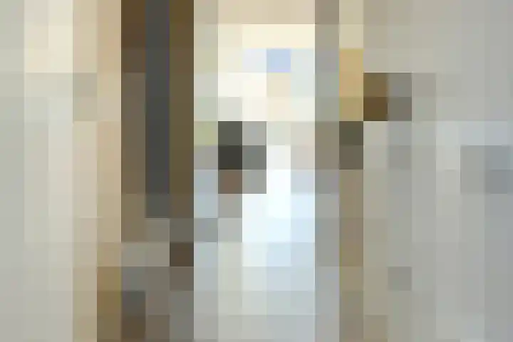 Heinsiusstraat 25 Oosterhout thumbnail 20