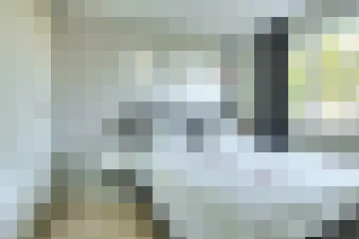 Heinsiusstraat 25 Oosterhout thumbnail 22