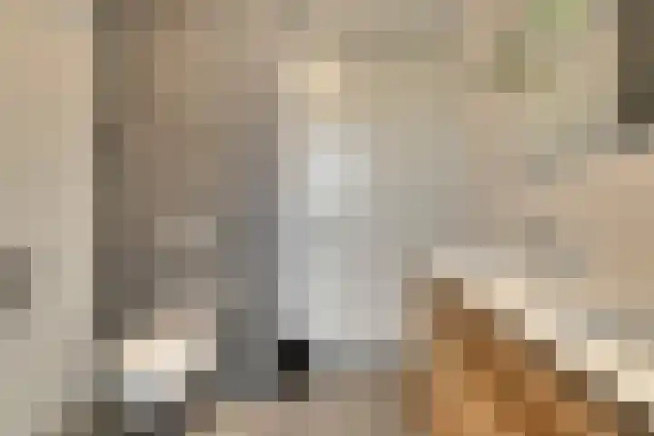 Heinsiusstraat 25 Oosterhout thumbnail 26