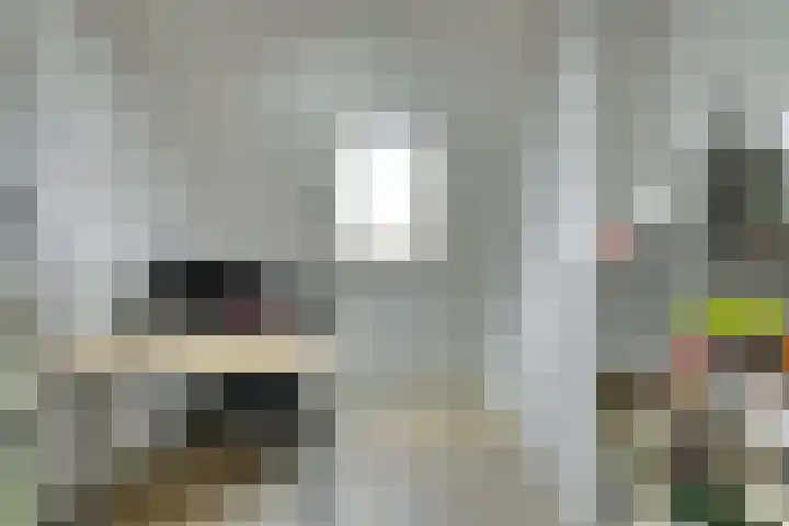 Heinsiusstraat 25 Oosterhout thumbnail 31