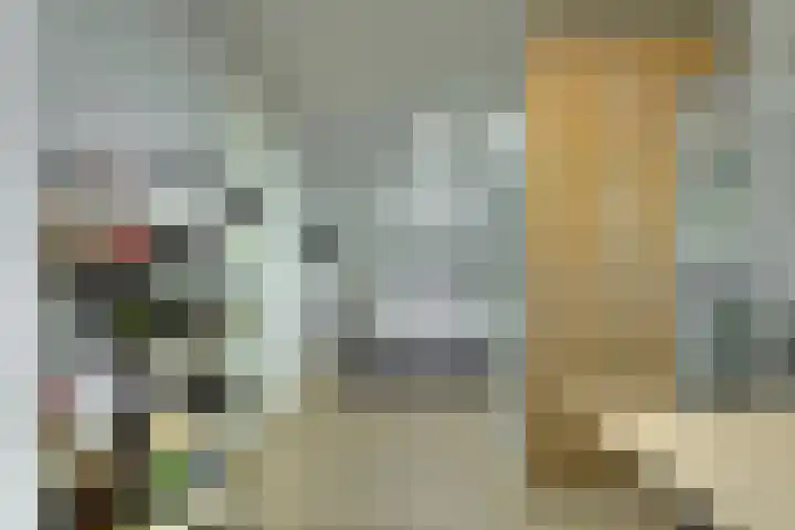 Heinsiusstraat 25 Oosterhout thumbnail 32