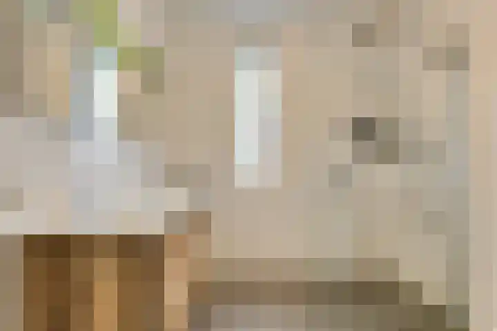 Heinsiusstraat 25 Oosterhout thumbnail 4
