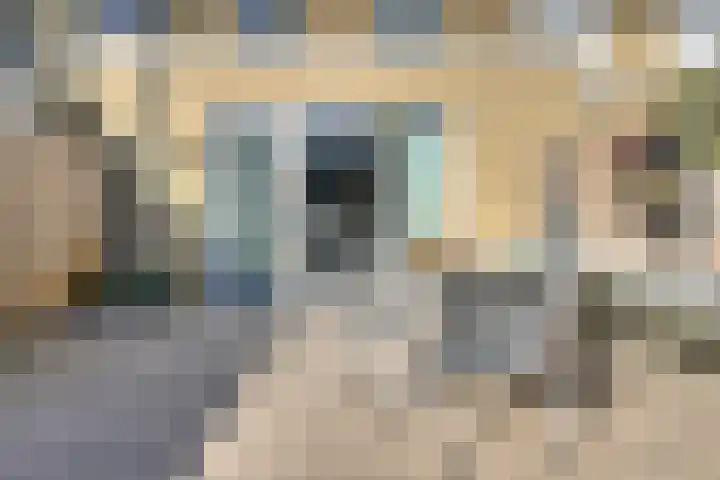 Heinsiusstraat 25 Oosterhout thumbnail 40