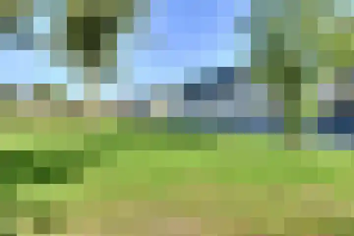 Heinsiusstraat 25 Oosterhout thumbnail 6