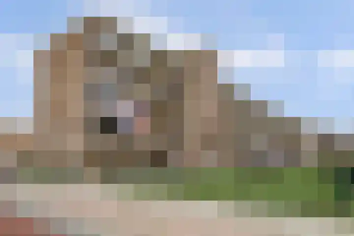 Heinsiusstraat 32 Katwijk thumbnail 41
