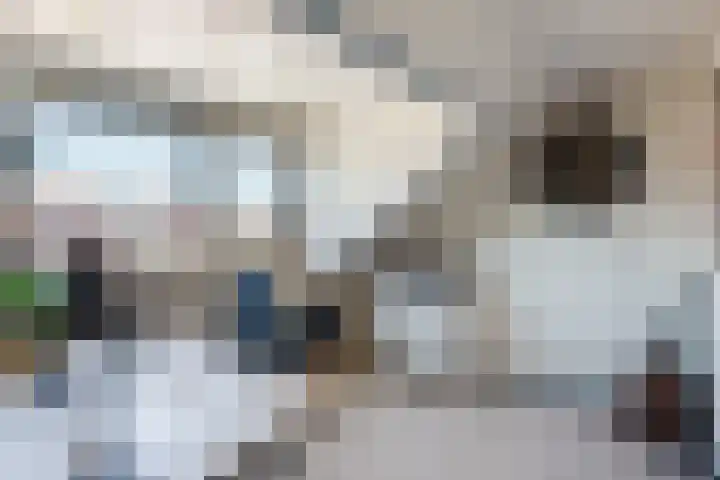 Heinsiusstraat 33 Culemborg thumbnail 30