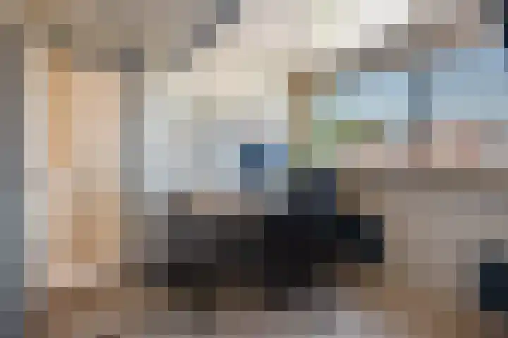 Heinsiusstraat 33 Culemborg thumbnail 31