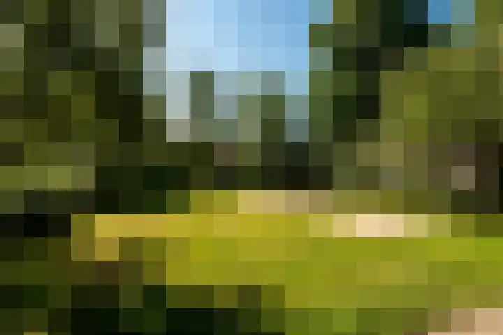 Heinsiusstraat 33 Culemborg thumbnail 4