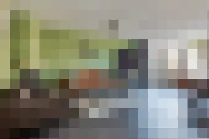 Heinsiusstraat 33 Culemborg thumbnail 7