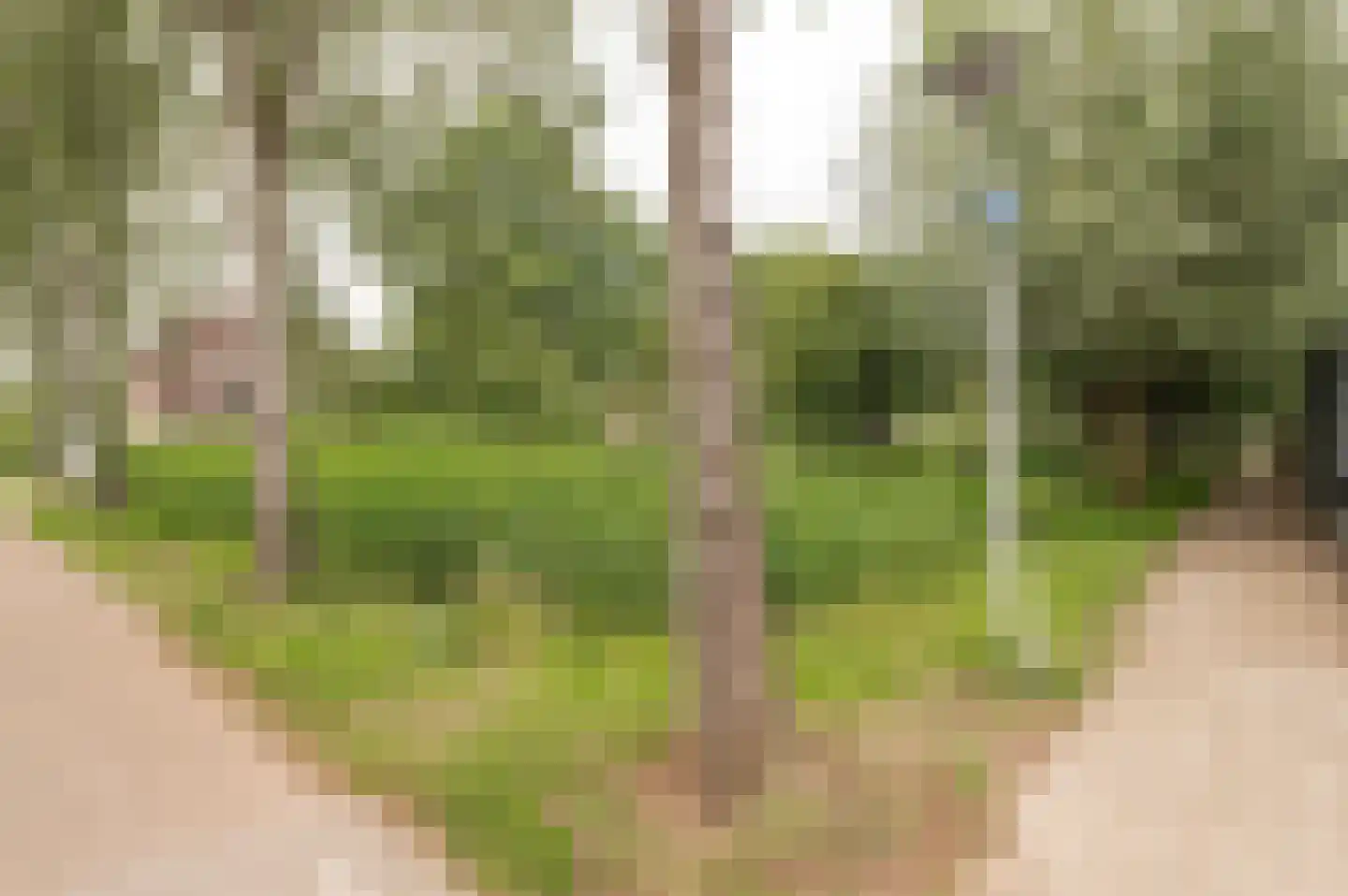 Heinsiusstraat 36 Culemborg thumbnail 33