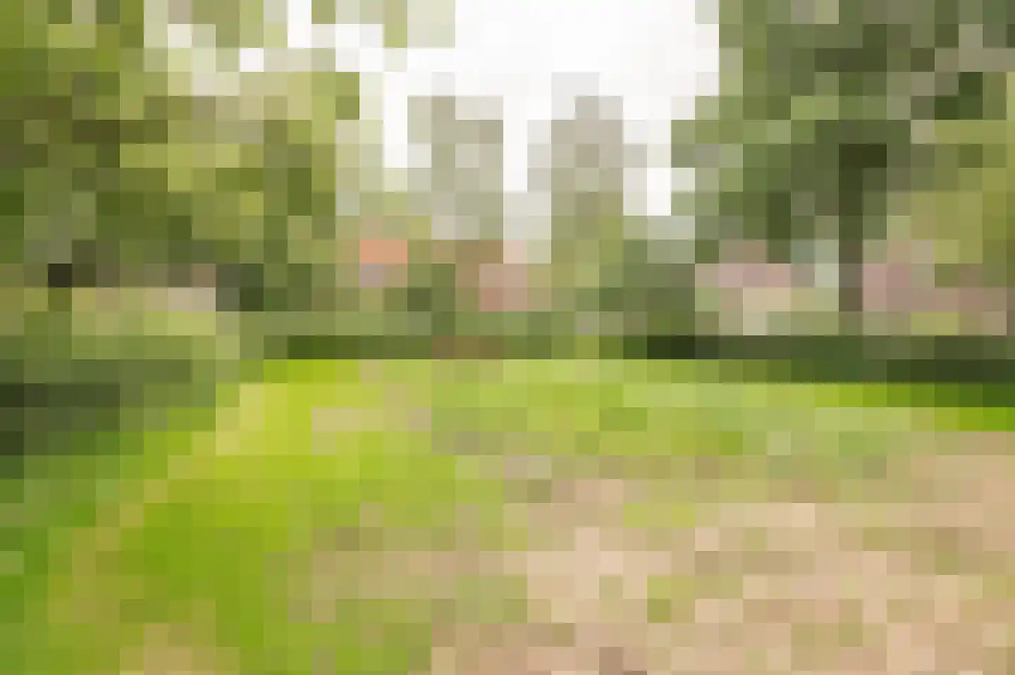Heinsiusstraat 36 Culemborg thumbnail 34