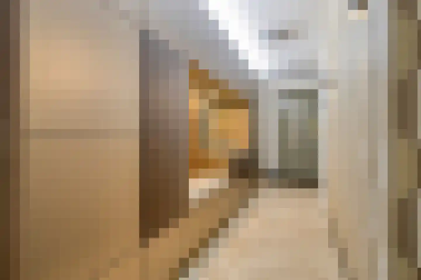 Heinsiusstraat 65 Oosterhout thumbnail 10