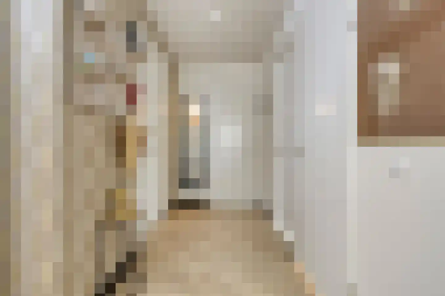 Heinsiusstraat 65 Oosterhout thumbnail 11