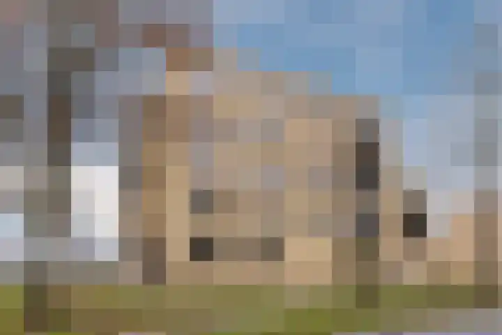 Heinsiusstraat 85 Oosterhout thumbnail 35