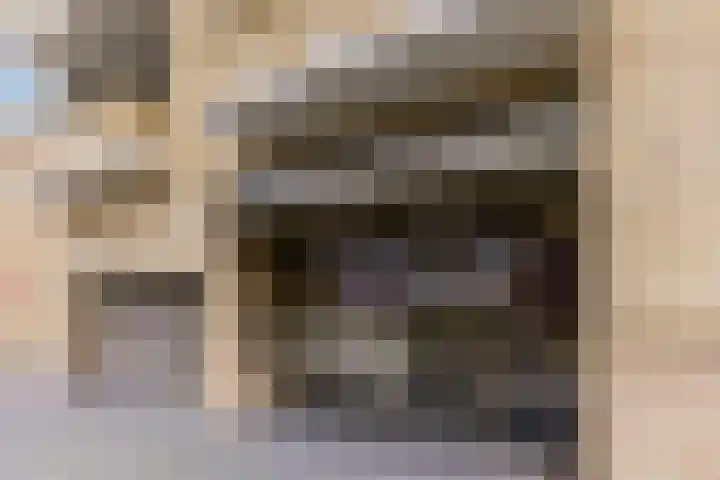 Heinsiusstraat 85 Oosterhout thumbnail 38