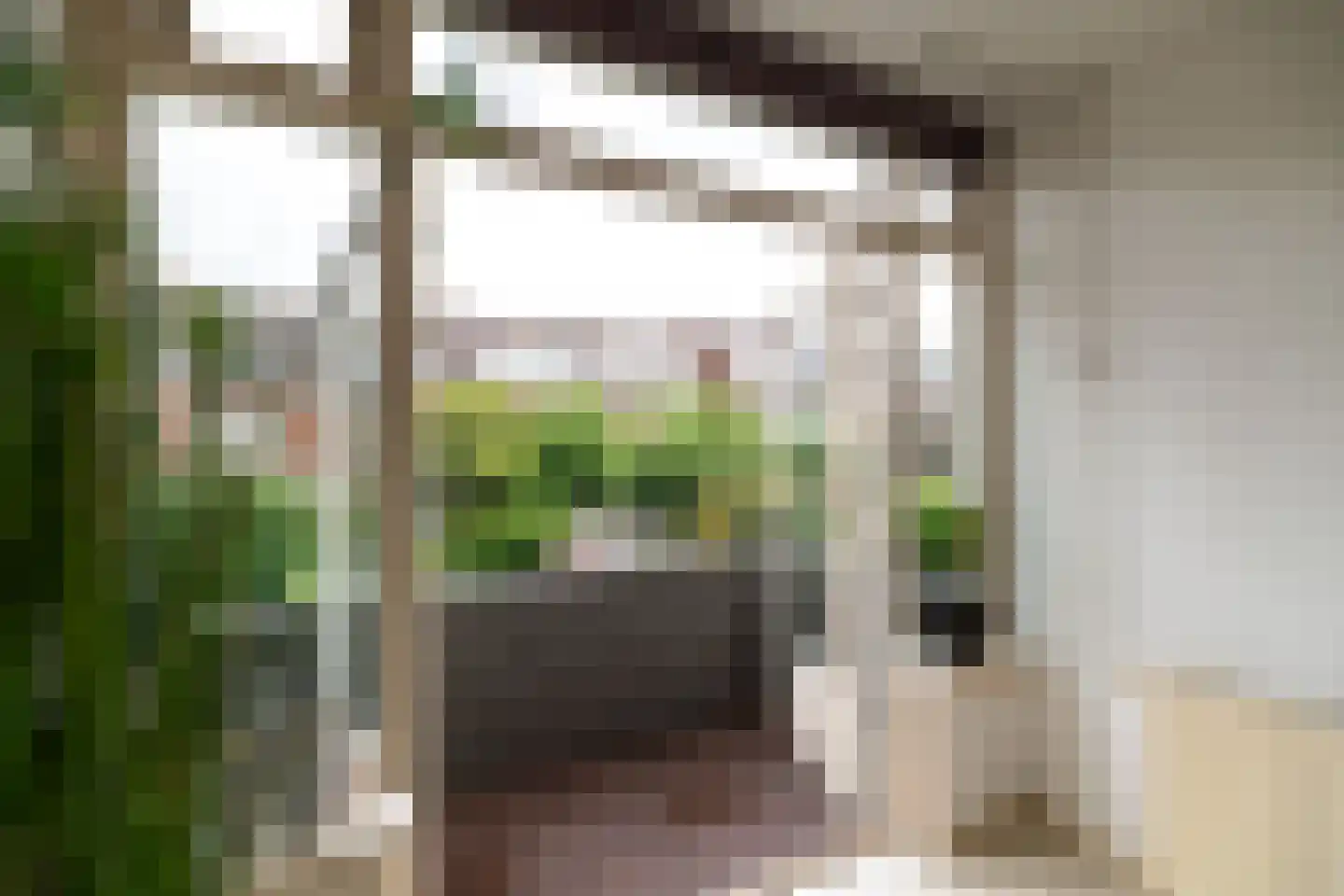 Heinsiusstraat 88 Dordrecht thumbnail 13