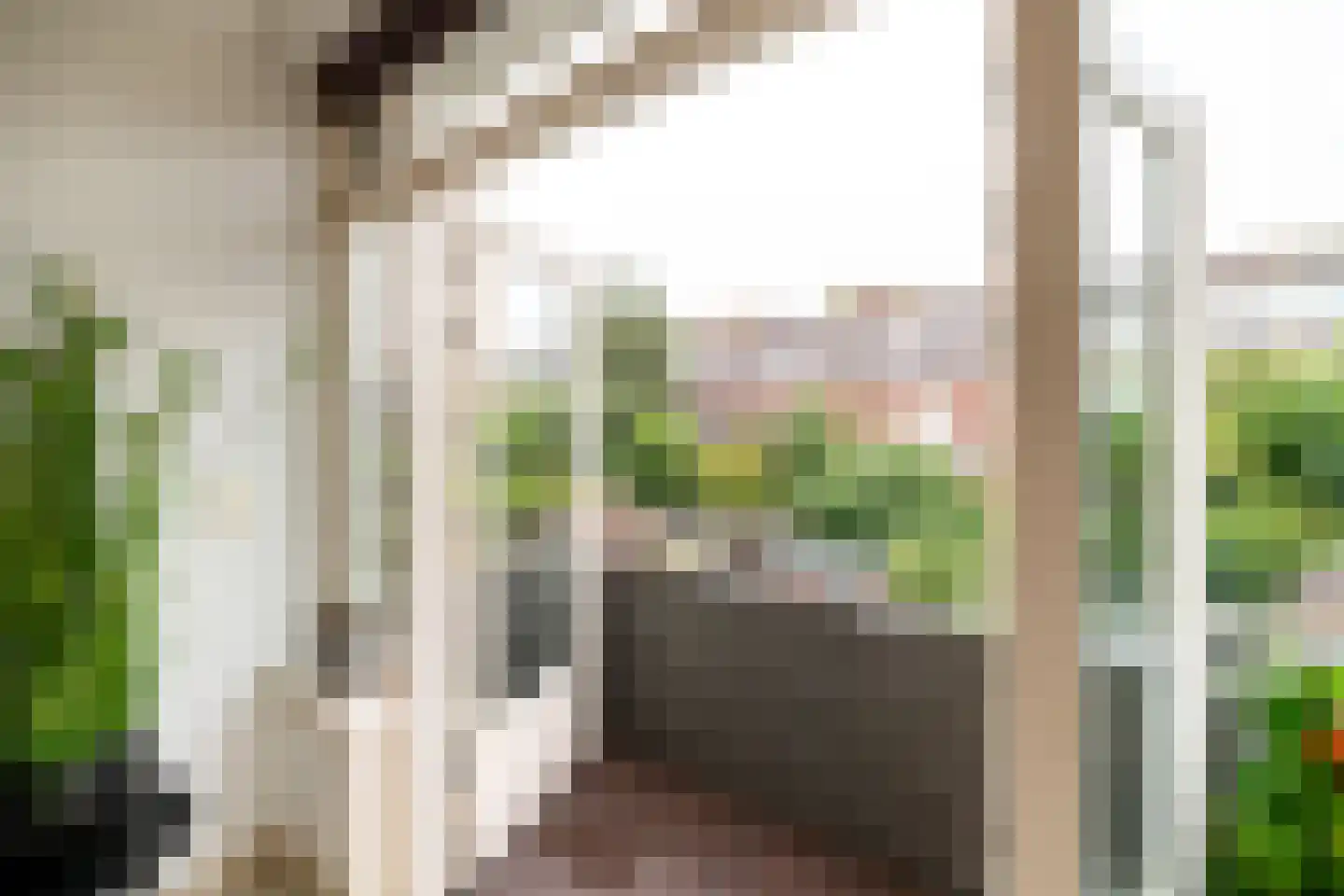 Heinsiusstraat 88 Dordrecht thumbnail 14