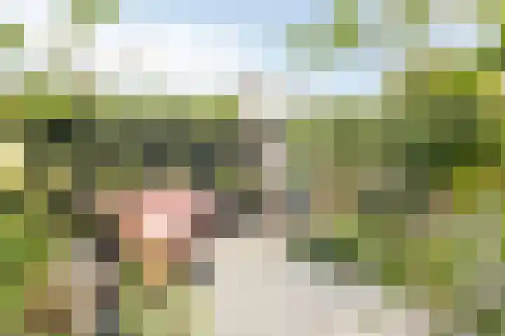 Heintje Davidspad 17 Zaandam thumbnail 4