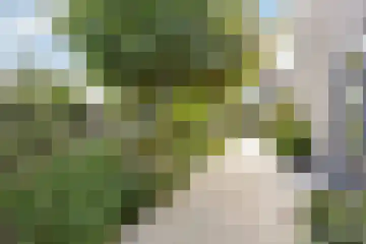Heintje Davidspad 17 Zaandam thumbnail 46