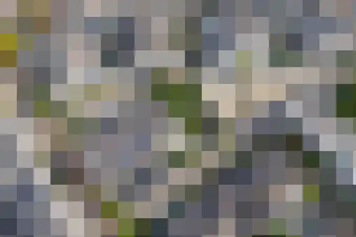 Heintje Davidspad 17 Zaandam thumbnail 64