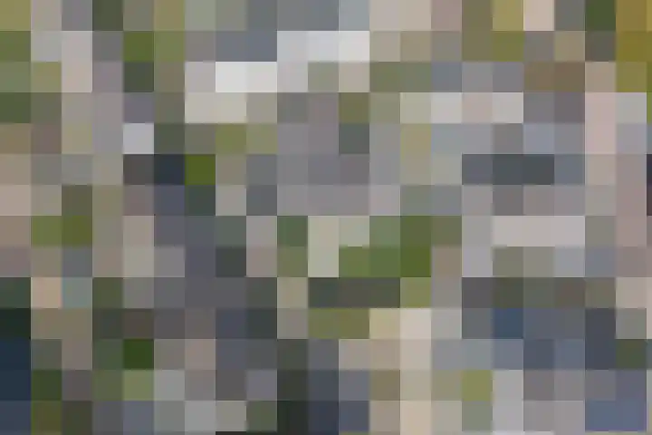 Heintje Davidspad 17 Zaandam thumbnail 65