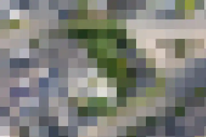 Heintje Davidspad 17 Zaandam thumbnail 66