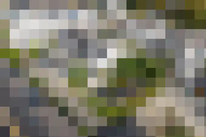 Heintje Davidspad 17 Zaandam thumbnail 69