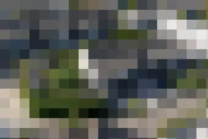 Heintje Davidspad 17 Zaandam thumbnail 70