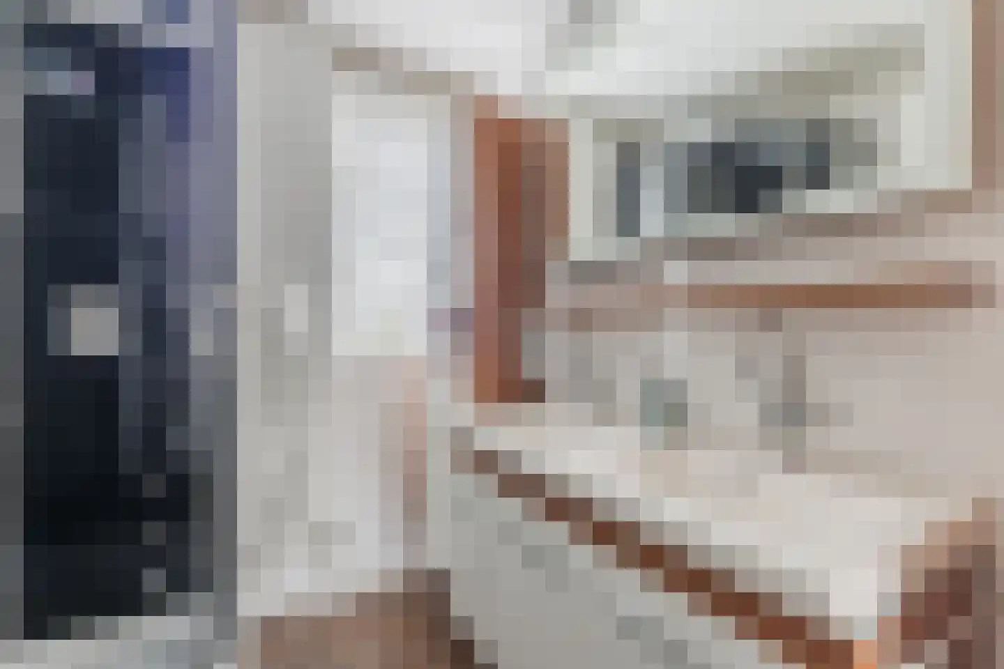 Heintje Davidspad 50 Zaandam thumbnail 27