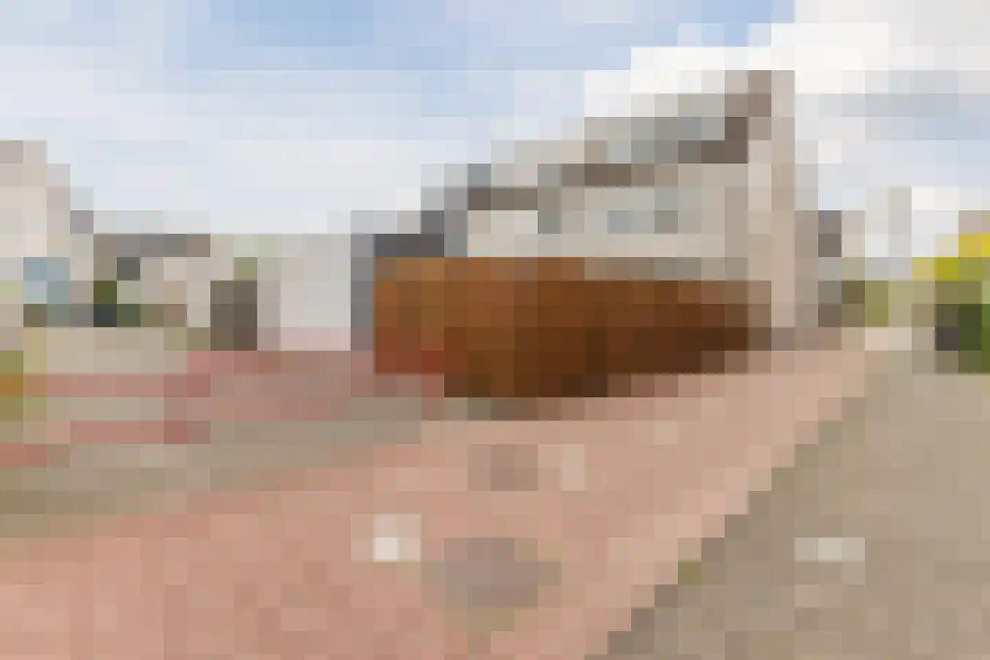 Heintje Davidspad 50 Zaandam thumbnail 42