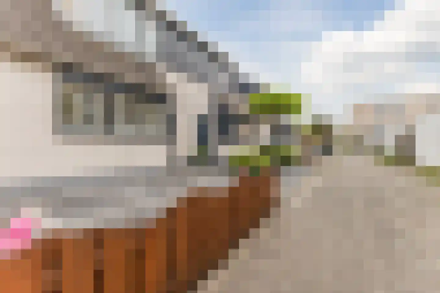 Heintje Davidspad 50 Zaandam thumbnail 7