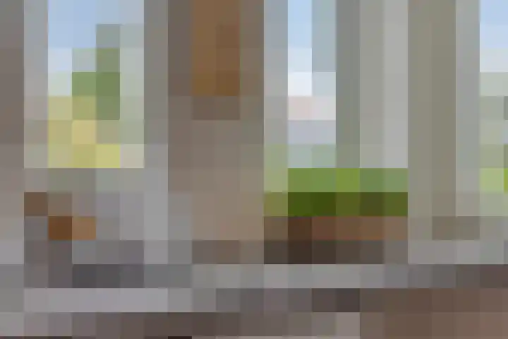 Heintje Davidstuin 1 Heerhugowaard thumbnail 18