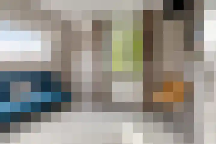 Heintje Davidstuin 1 Heerhugowaard thumbnail 24
